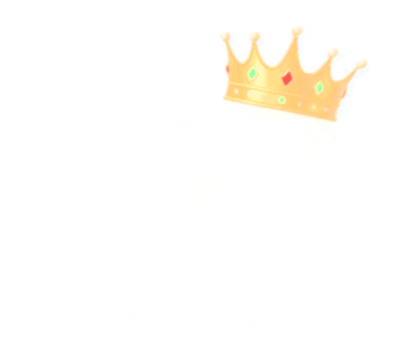 Visuel VIP FORMA X